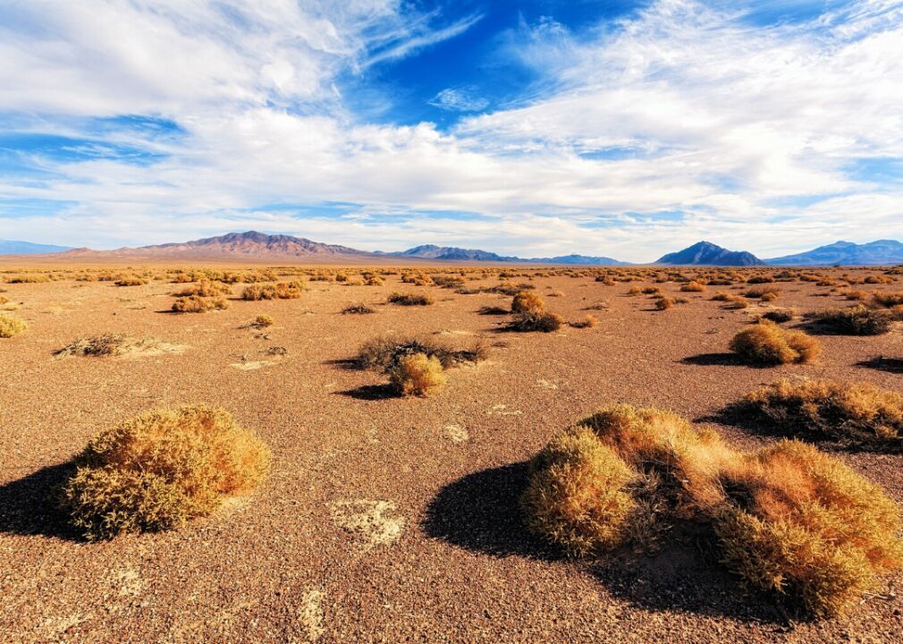 #1. Nevada